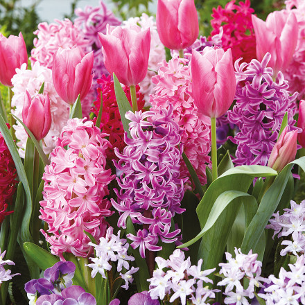 Vente de fleurs et déco