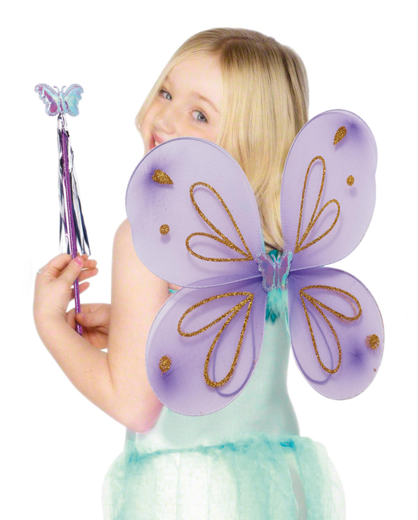 Ailes de papillon +baguette +serre-tête 1