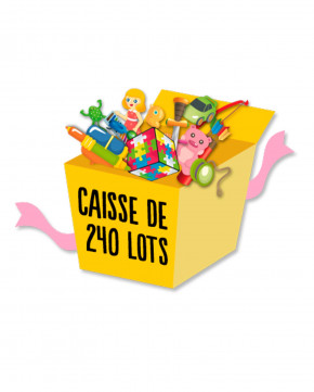 Caisse de 240 lots