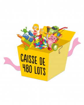 Caisse de 480 lots