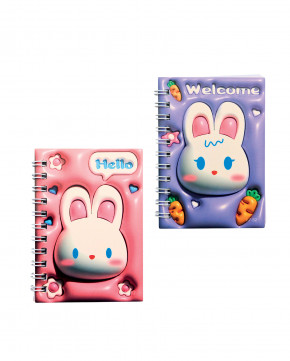 Lot de 48 carnets kawaï