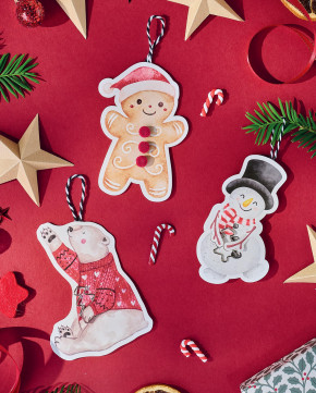 Déco de Noël les petits givrés