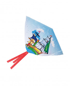 Lot de 12 cerfs-volants