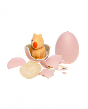 Lot de 12 oeufs grossissants Capybara