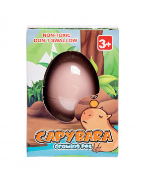 Lot de 12 oeufs grossissants Capybara