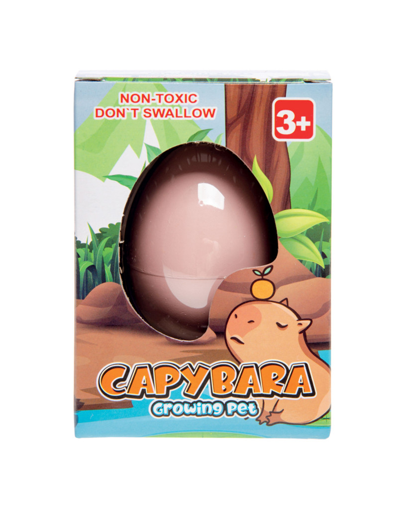 Lot de 12 oeufs grossissants Capybara 1