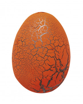 Lot de 12 oeufs grossissants dino