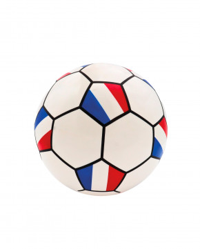 Lot de 24 ballons à gonfler France