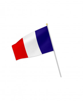 Lot de 60 drapeaux France