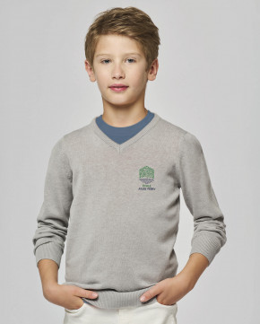 Pull col V broderie 1