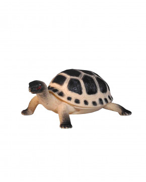 Tortue en plastique 11 cm 
